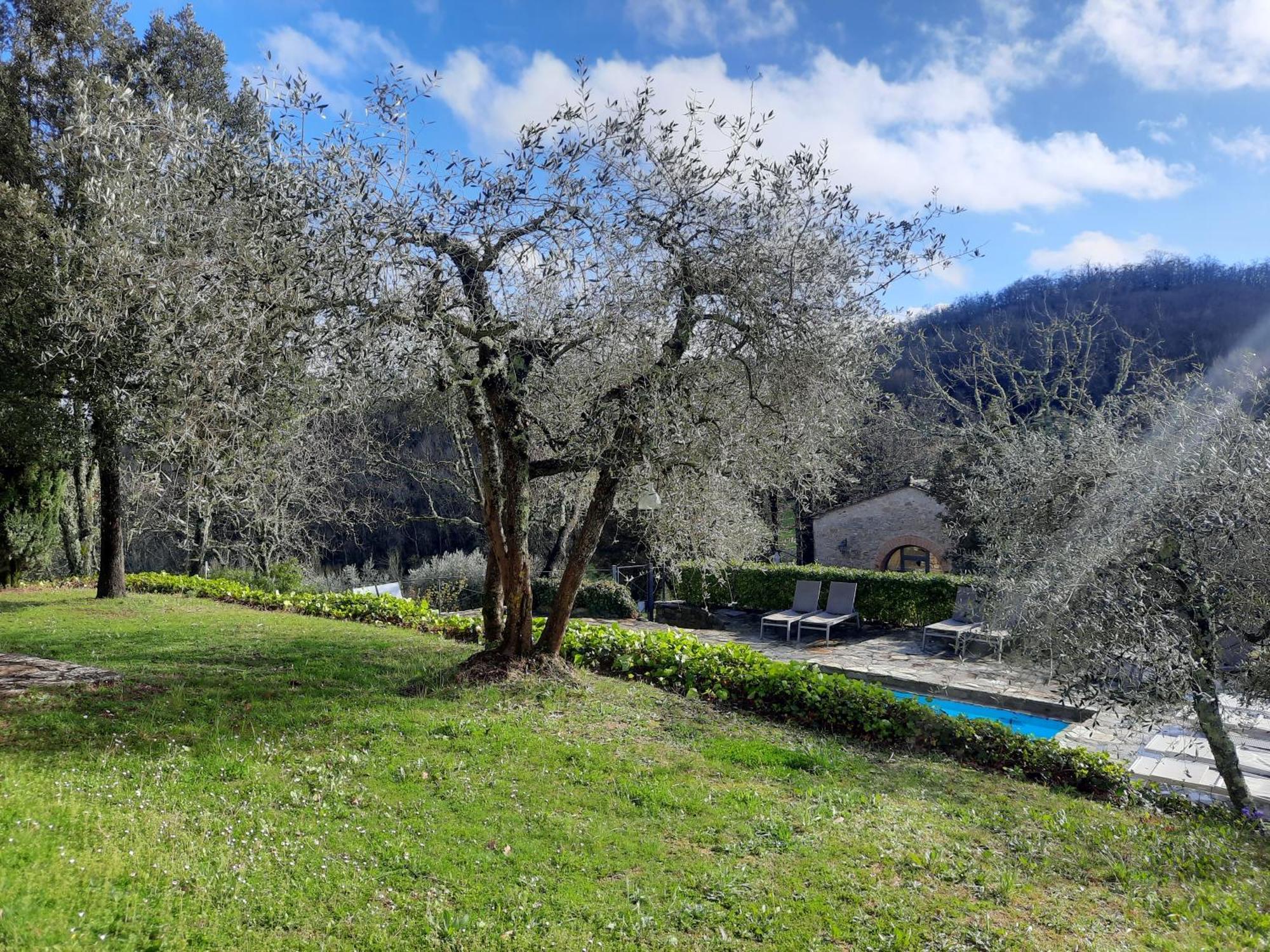 Borgo Livernano - Farmhouse With Pool ラッダ・イン・キアンティ エクステリア 写真